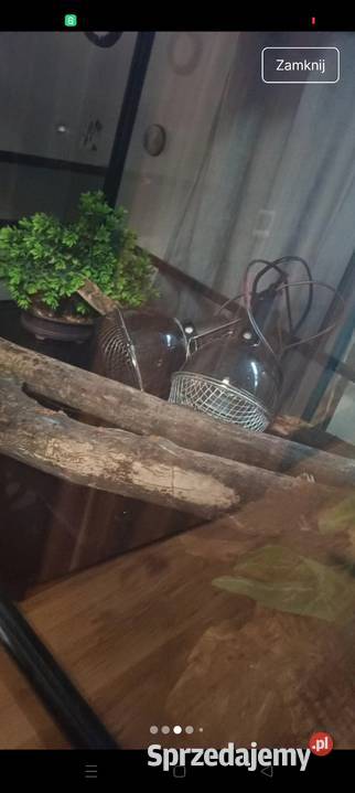 Terrarium podkarpackie Tarnobrzeg