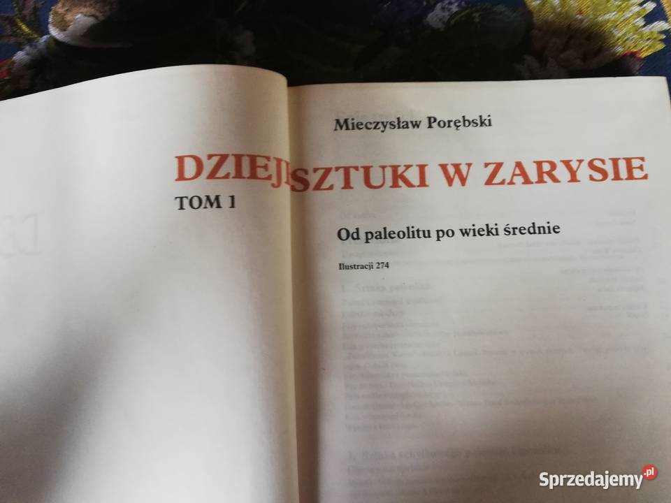 Historia sztuki w zarysie Mieczysław Porębski Kraków