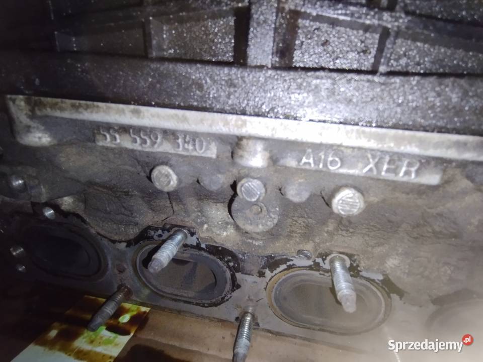 Głowa 55559340 A16XER Chevrolet Opel osobowe małopolskie Zakopane