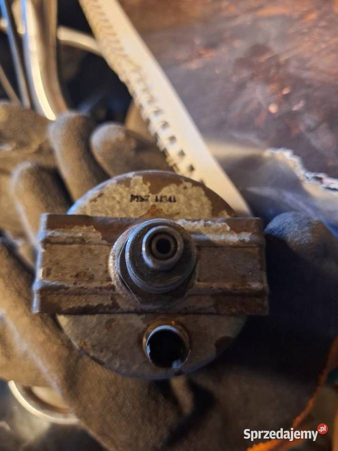 Pannonia 250 Ciechanów