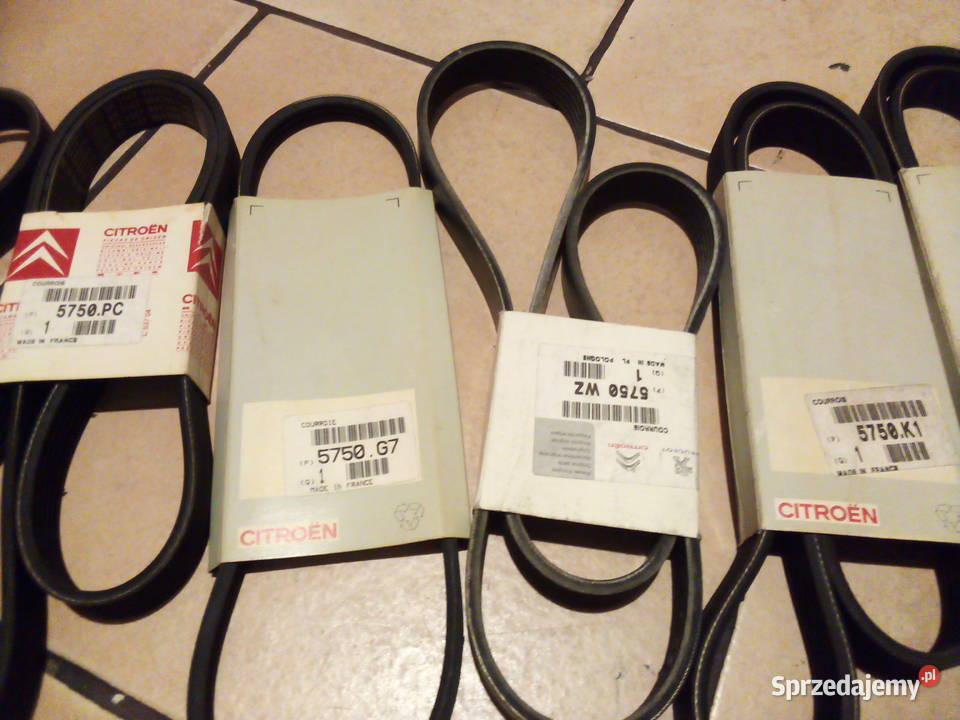 Pasek klinowy wielorowkowy CitroenPeugeot Leszno sprzedam