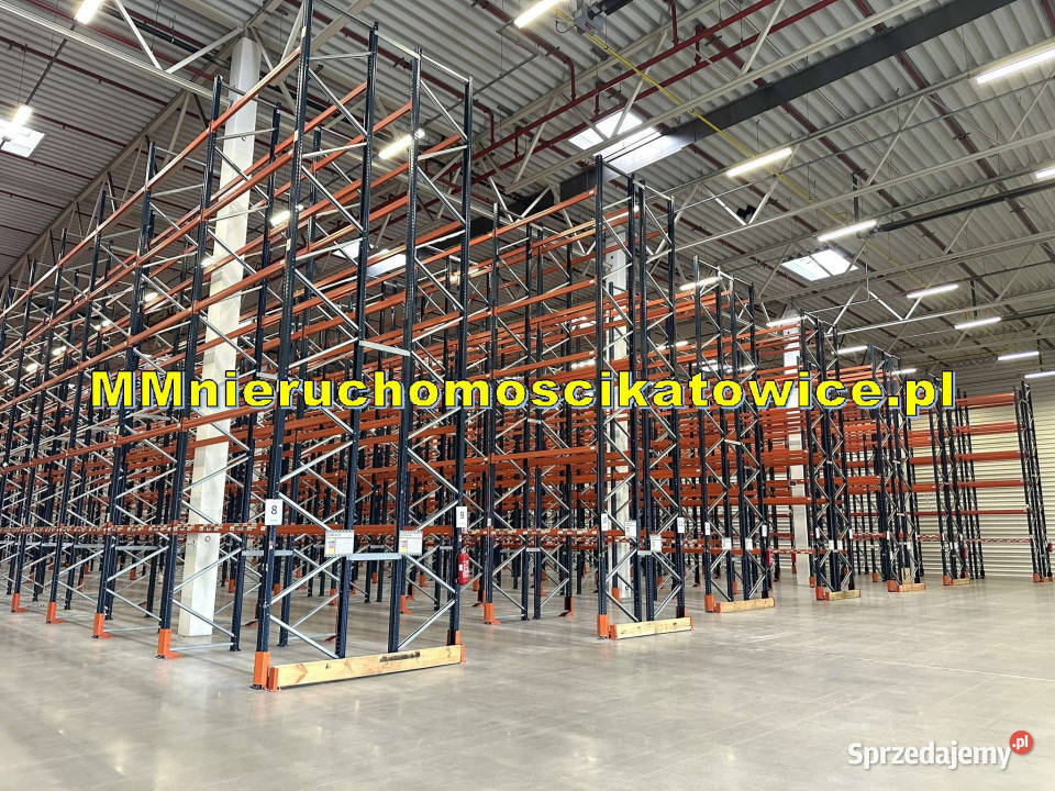 Magazyn do wynajęcia z regałami Katowice A4 parking śląskie