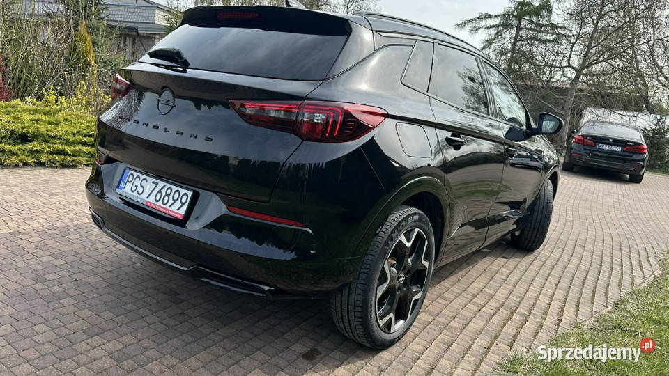Opel Grandland nieuszkodzony