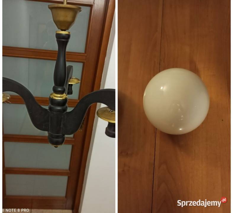 Żyra ndol tak na zdjęciu Paprotnia