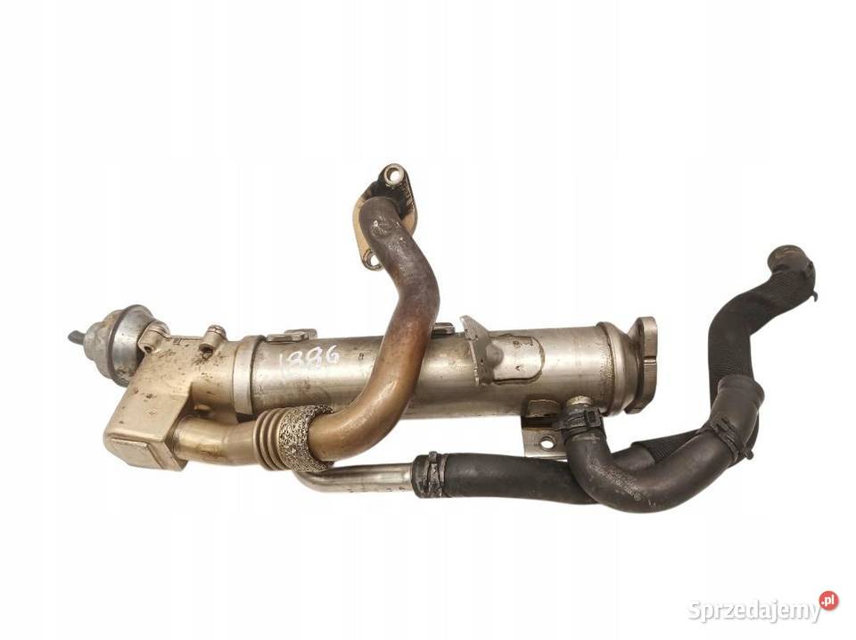 CHŁODNICA SPALIN 03L131512AH 20 TDI Audi A6 III sprzedam