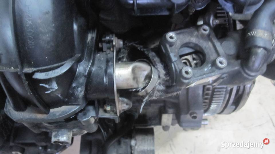 TRANSIT 22 TDCI EU5 DRFB DRFA RWD 100 168 silnik świętokrzyskie Kielce