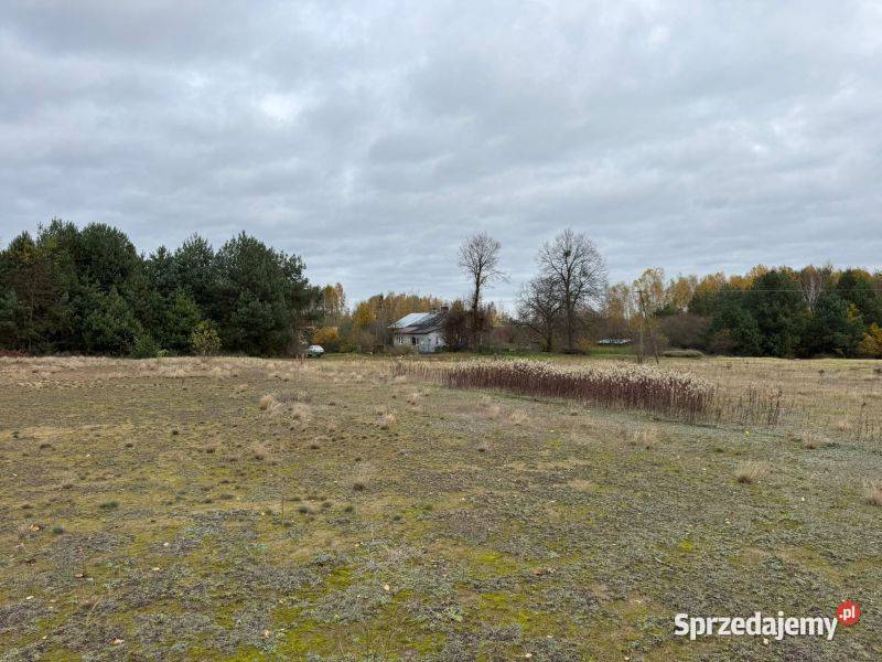 Urokliwa działka z możliwością zabudowy w Choinek sprzedam