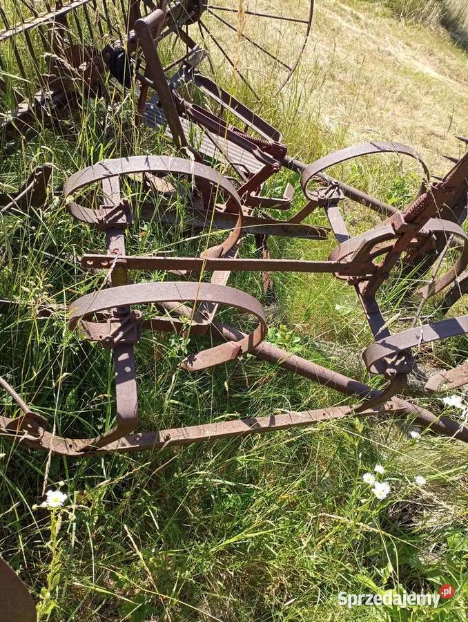 Sprężynówka konna kultywator nieuszkodzony Bezwola sprzedam