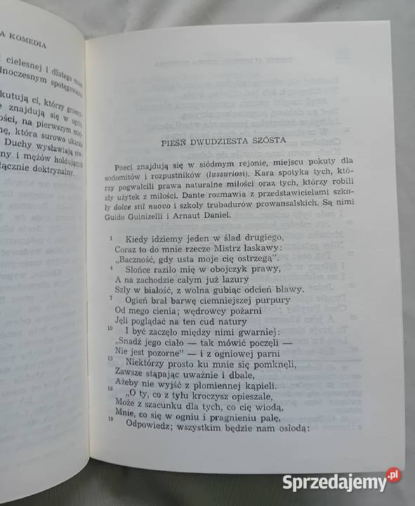 Dante Alighieri Boska komedia Biblioteka Koźminek