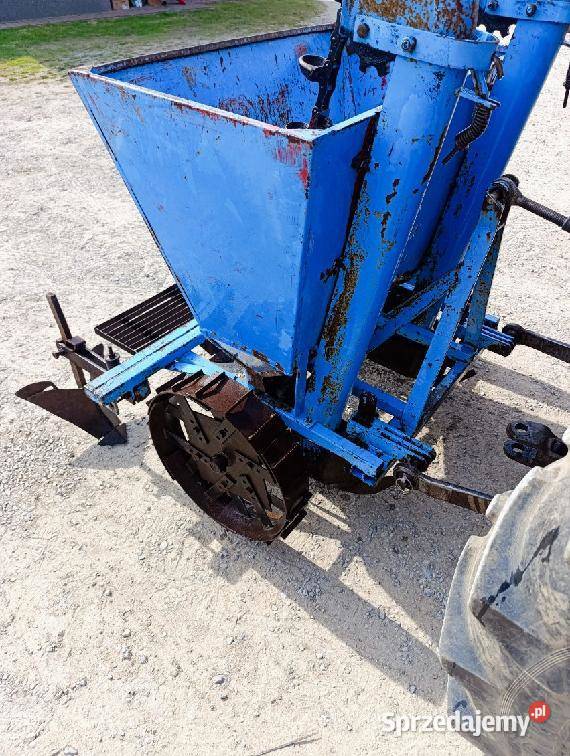 Sadzarka do ziemniaków Polska nieuszkodzony Blizne sprzedam