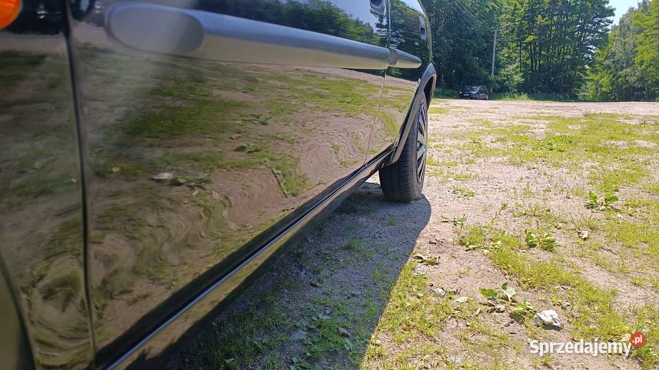 Sprzedam Śliczną Zdrową Zadbaną Corse jedyna Kalisz