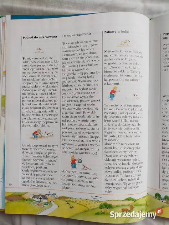 O czym wiedzieć E Bussolati Siedlce sprzedam
