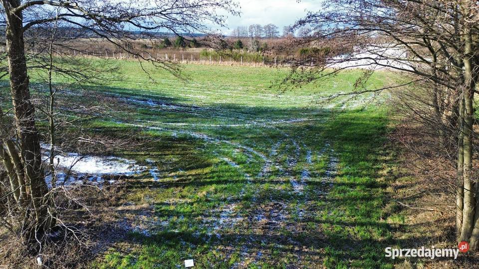 Działka idealna pod kempingi domki holenderskie Sprzedaż