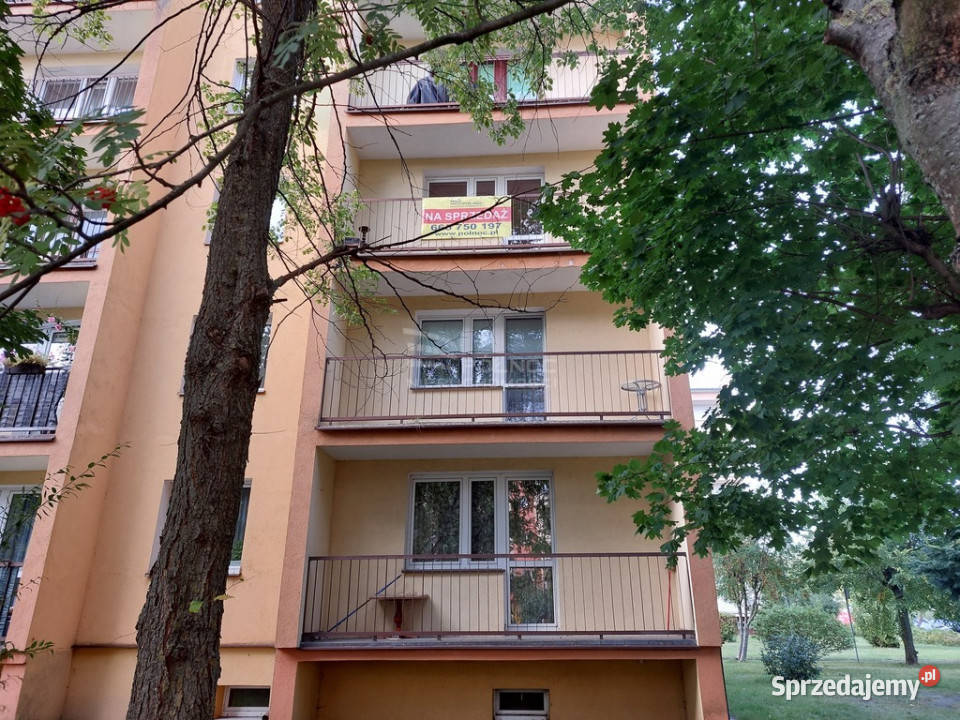 3pokojowe mieszkanie Akademii Bialskiej