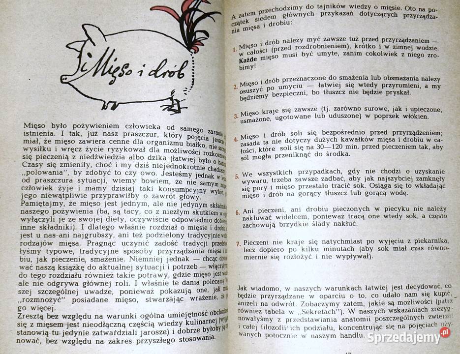 ABC sztuki kulinarnej żołądek do serca Alina Pozostałe lubelskie Chełm