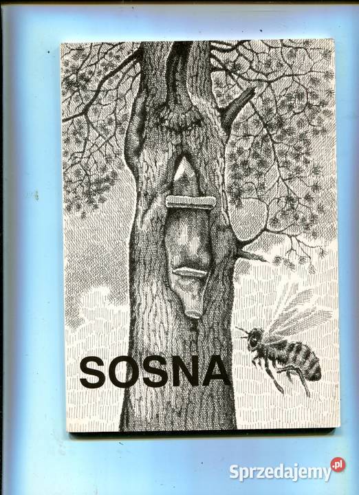 Sosna Materiały z sesji poświęconej sośnie Szczecin