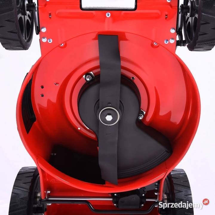 HECHT 548 SW KOSIARKA SPALINOWA DO TRAWY 5w1 wielkopolskie Opalenica