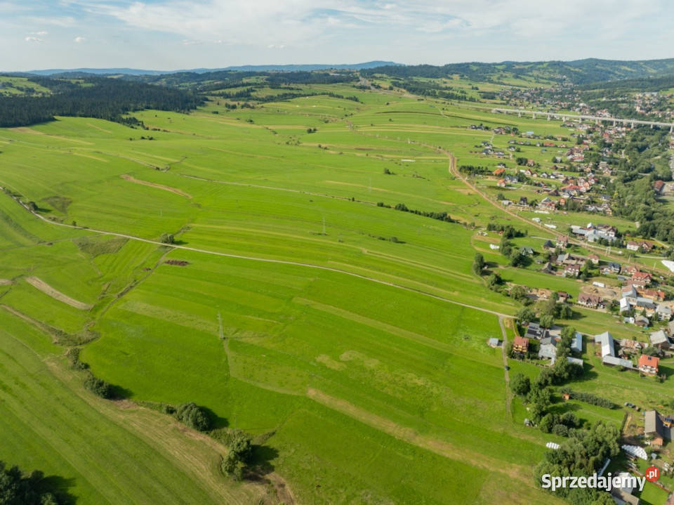 DziałkaSprzedażLasek małopolskie sprzedam