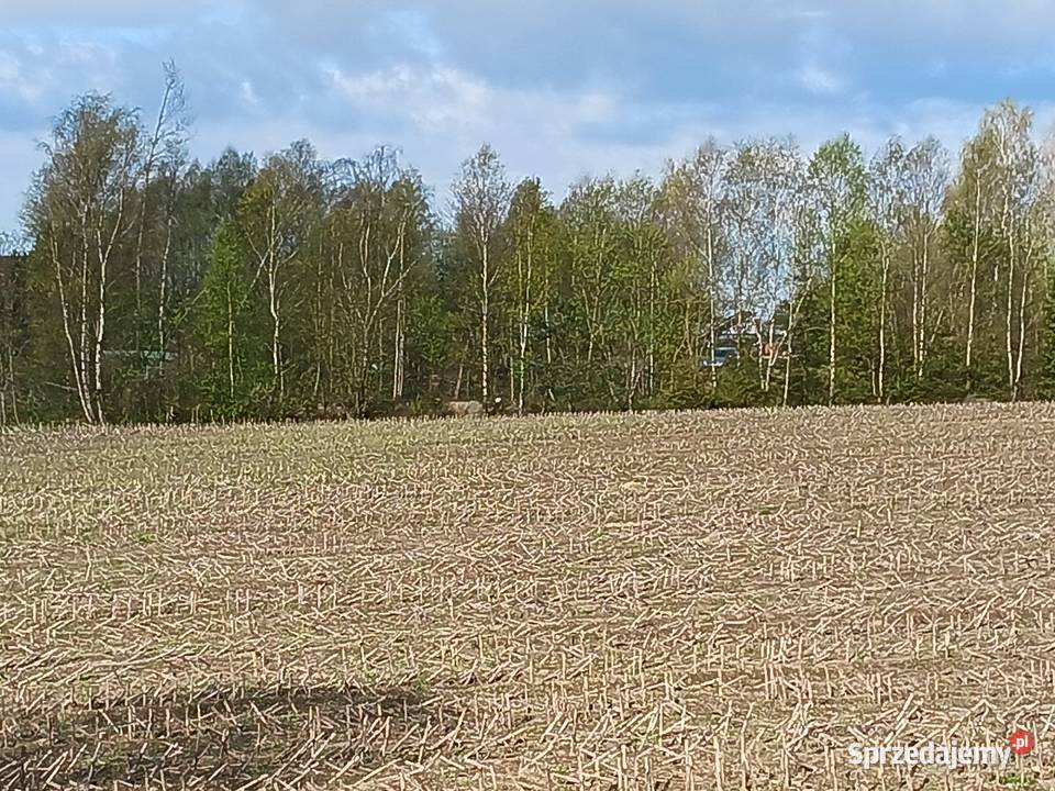 Działki budowlane Bytów sprzedam
