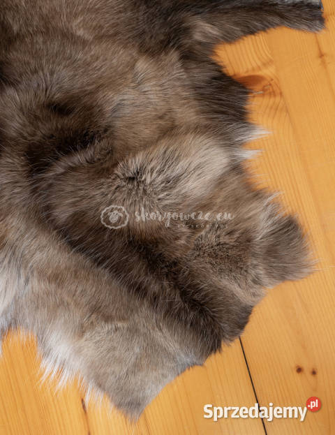 Dekoracyjna skóra z renifera renifer małopolskie Szaflary