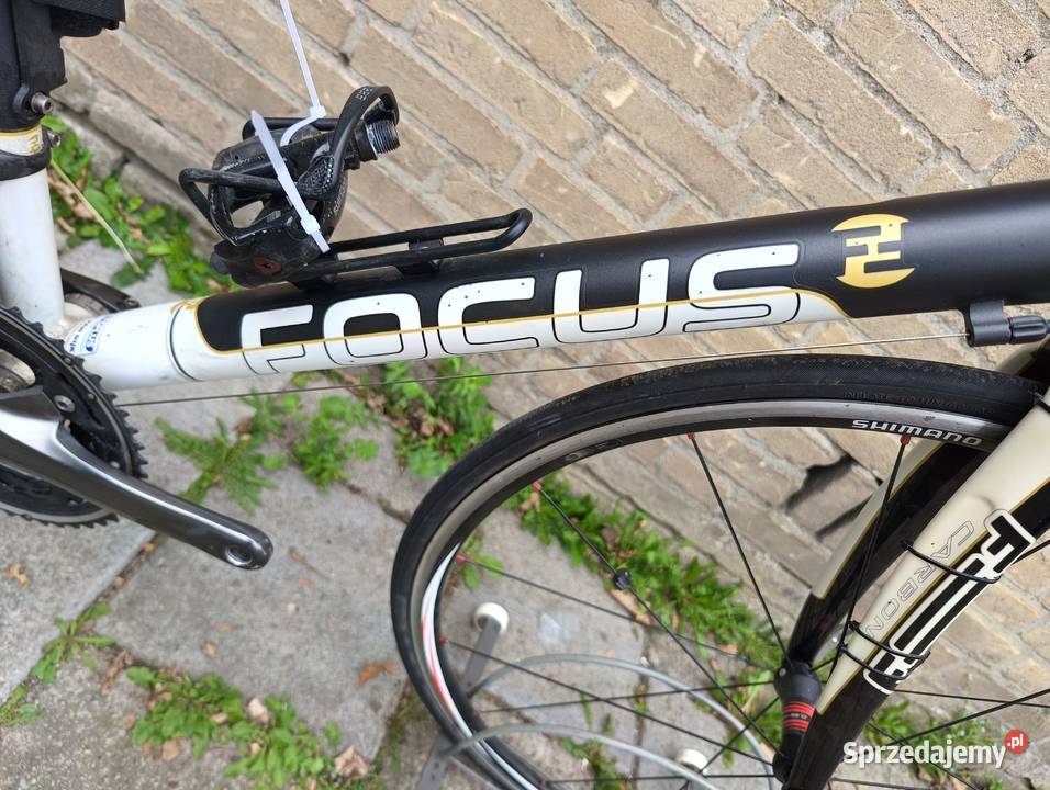Focus Variado Expert rower szosowy aluminiowy z Szosowe Jastrzębie-Zdrój