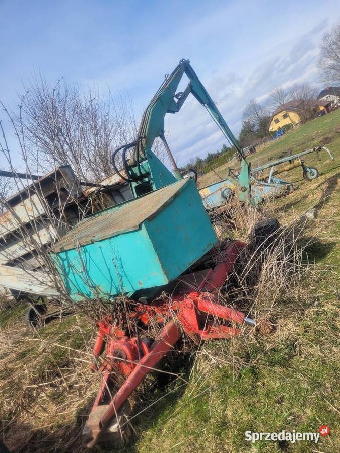 Cyklop polski Pozostałe Przodkowo