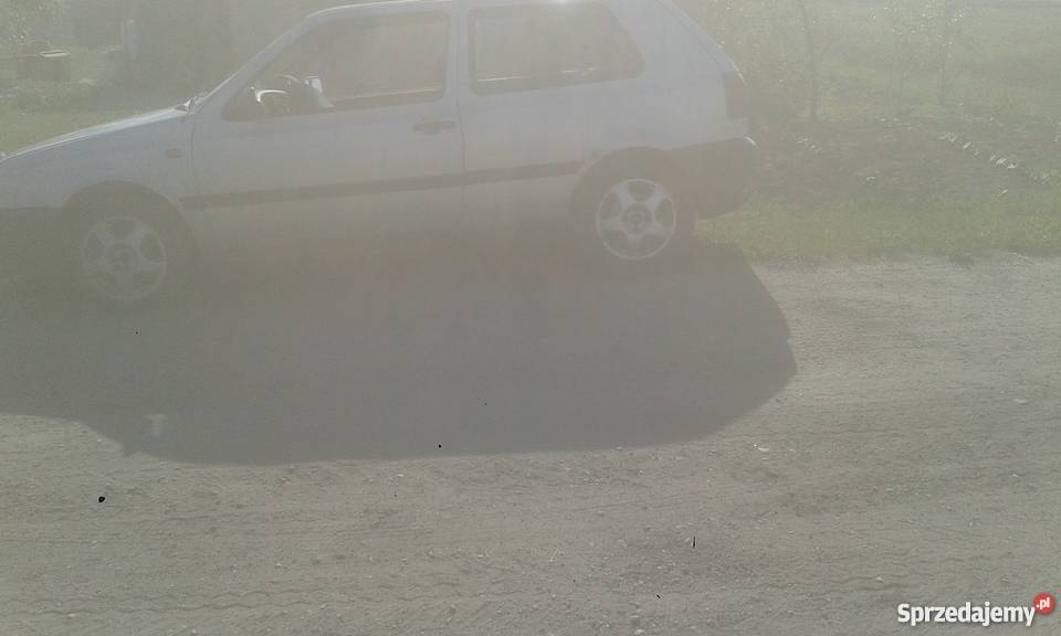 golf warty Nowe Błonowo