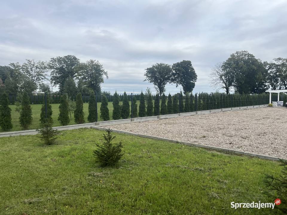 Montaż ogrodzeń panelowych i siatki kujawsko-pomorskie Rypin usługi budowlane