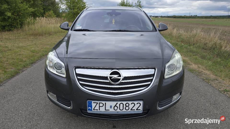 Opel Insignia 20 D 160 koni Automat Zamiana gniazdo SD Gliwice