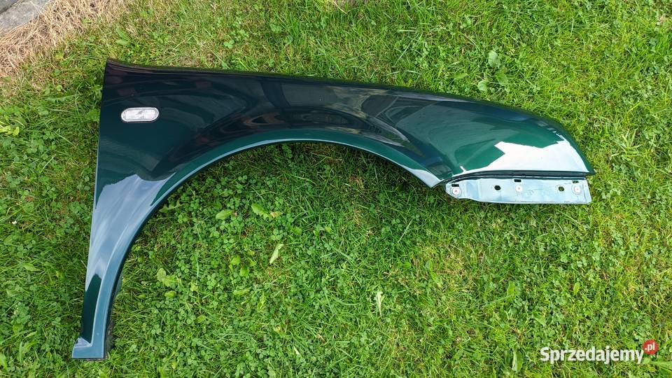 Błotnik nadkole przód GOLF IV 4 LC6M Zielone Włosienica