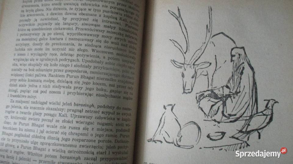 Księga Dżungli Druga księga dżungli R Kipling Łódź