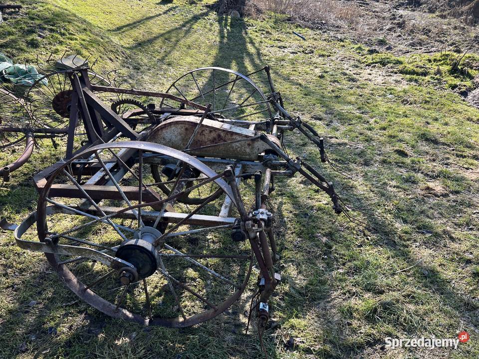 Przewracarka konna Marcyporęba