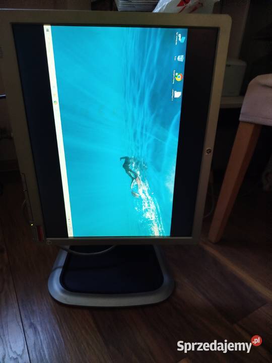 Monitor 19 DELL LA1951g VGA DVI USB Stan Oświęcim