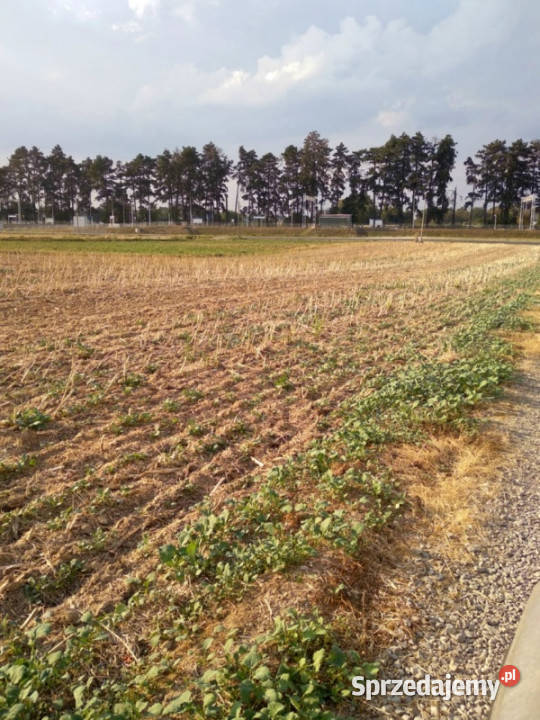 Spokojna działka Lublina 8min Warszawy 15h Stasin sprzedam