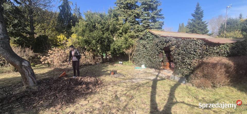 Działka WrzącaLutomiersk WŁASNOŚĆ ROD Lutomiersk