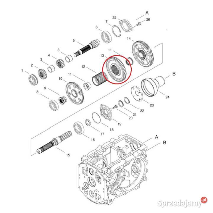Koło Zębate 40009244 LS Tractor zębatka Tajęcina