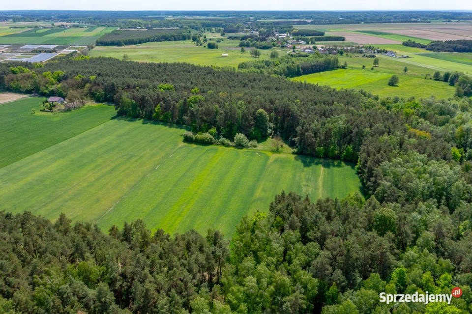 Budowlana 2300 m ze stawem i zielenią łódzkie