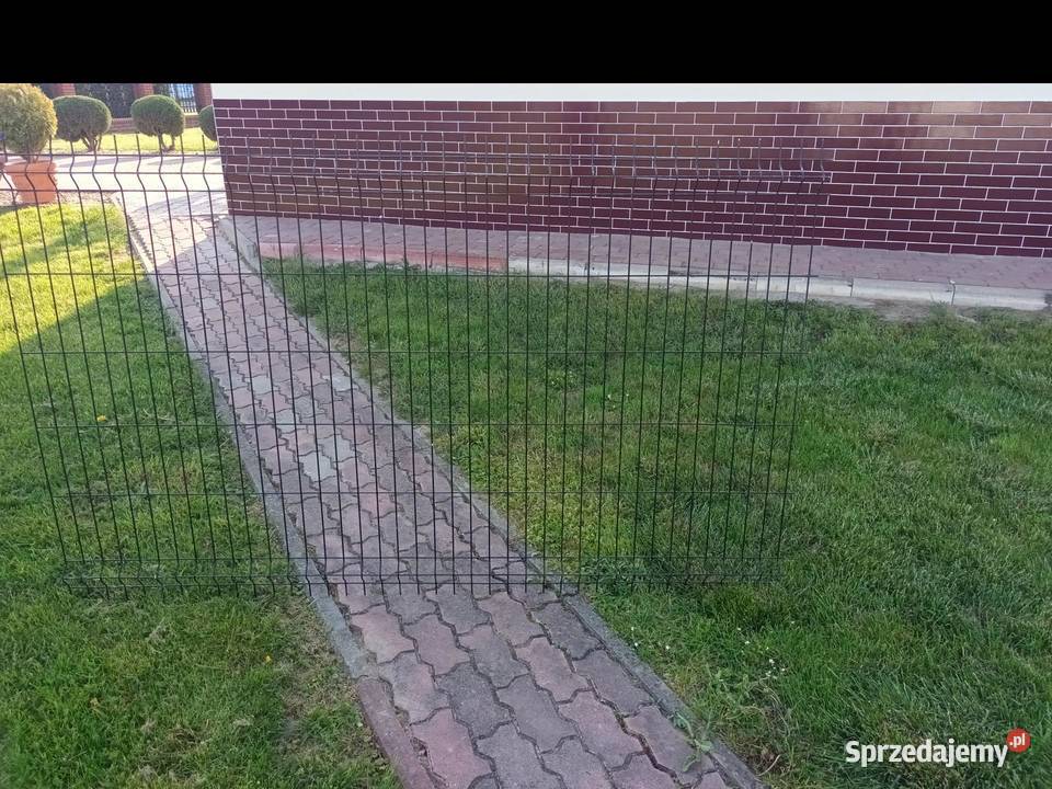 Panel ogrodzeniowy 120x200 Przeworsk