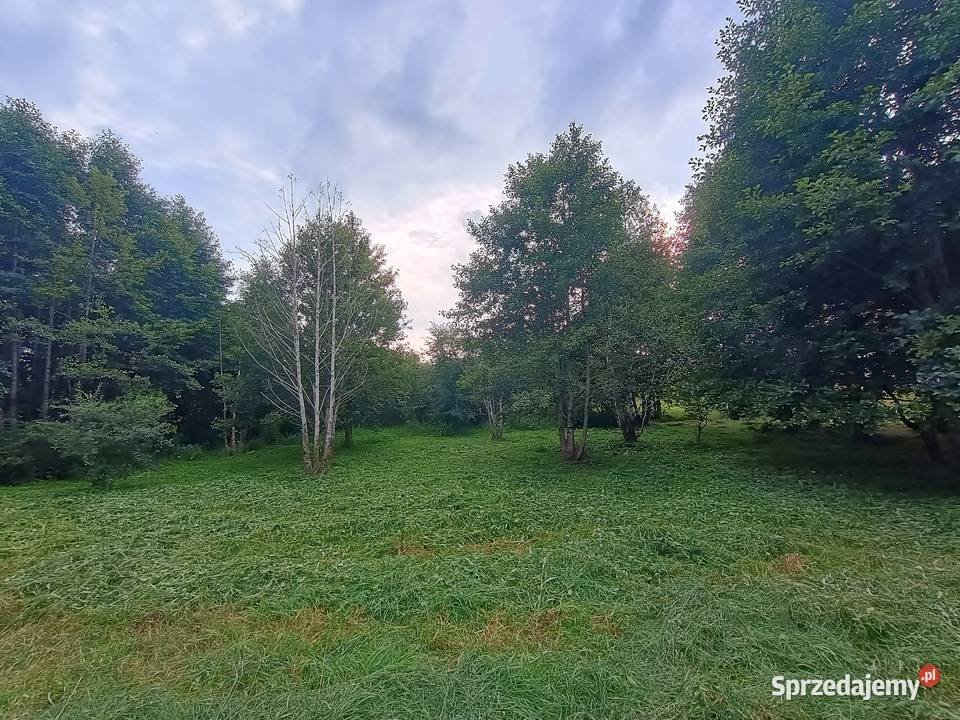 Działka budowlana z lasem Swobodna gm Miasto 140m warmińsko-mazurskie