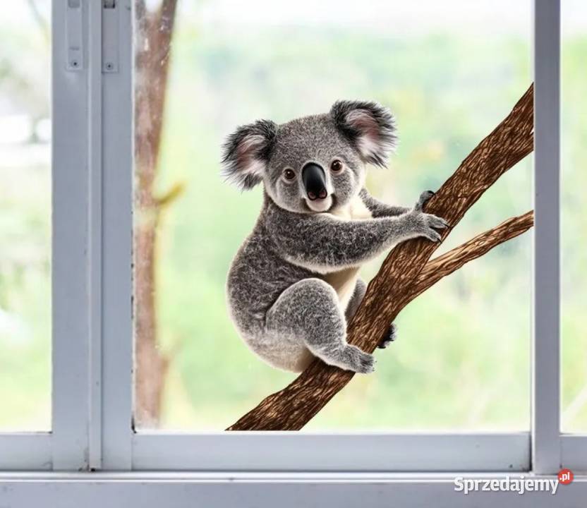 Naklejka na szybę z Misiem Ząbki