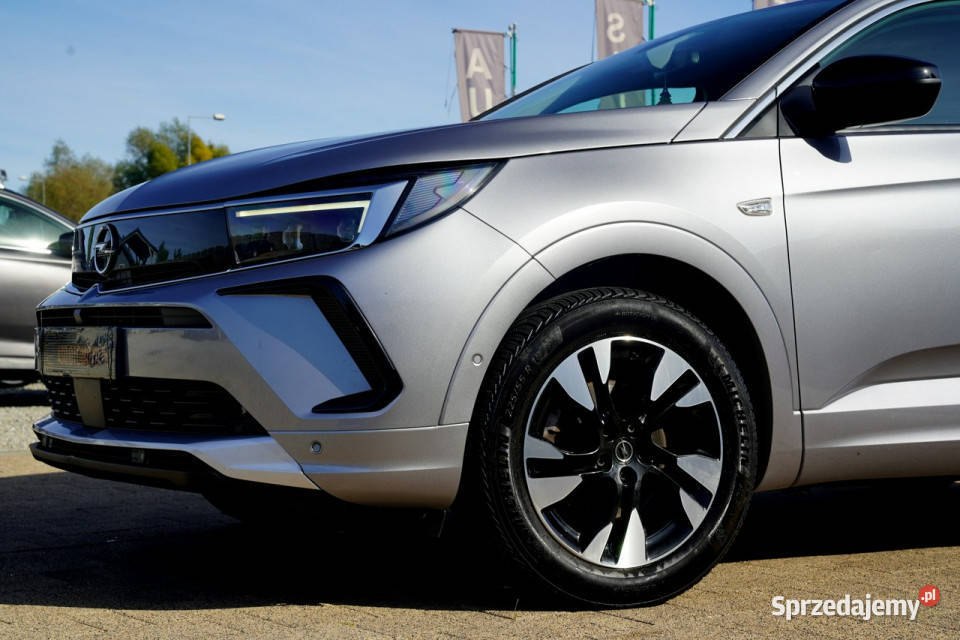 Opel Grandland X FUL LED skóra NAWI automat8 diesel opolskie Otmuchów