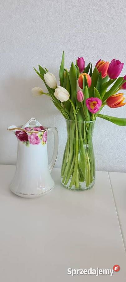 Dzbanek do Kawy Rosenthal Cacilie unikatowy wzór małopolskie