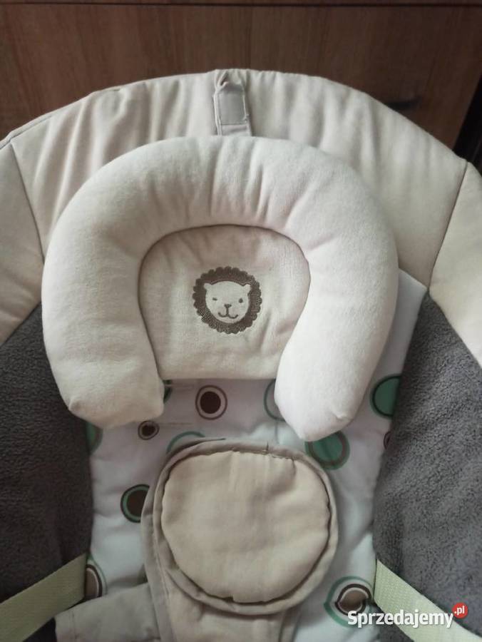 bujaczek Lionelo Robin Warszawa