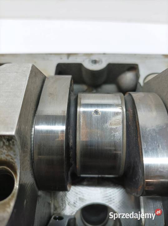 GŁOWICA KOMPLETNA 038103373R 19 TDI VW osobowe