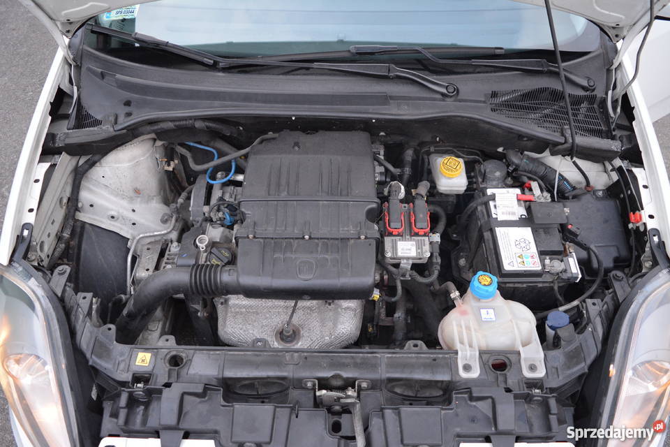 Fiat Grande Punto EVO 12 2012 rBlue and MeSalon Wolbrom