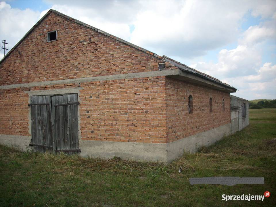 Działka siedlisko Romanów