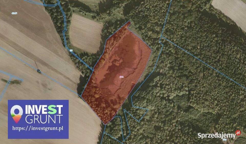 292 ha stawy rybne przetarg na dzierżawę 29200m2 Nawojów Śląski