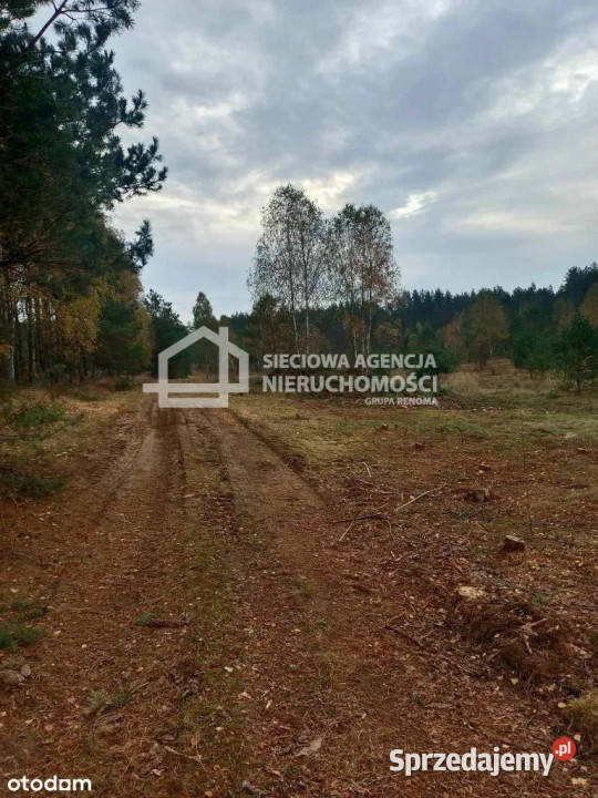 sprzedaży gruntu 42000m2 Przewóz