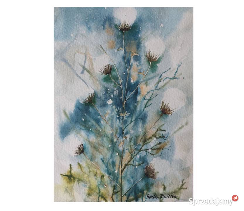 Akwarela Akwarelka Obraz pt Ostrożeń Polny Kolonia Łódź