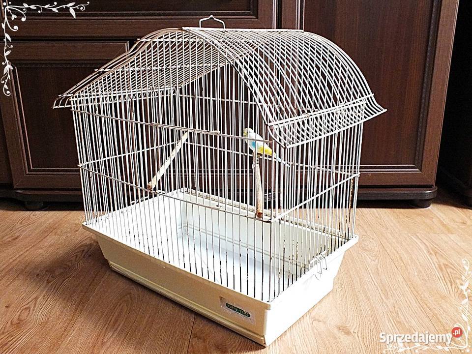 Biała klatka ptaków kanarki zeberki 46x49x30 Dla ptaków Dla ptaków